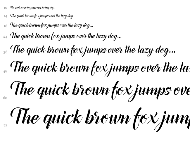 Canela Bark font waterfall