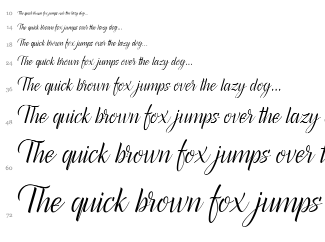 Canela Bark font waterfall