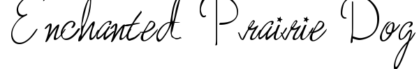 Enchanted Prairie Dog font
