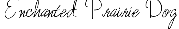 Enchanted Prairie Dog font preview