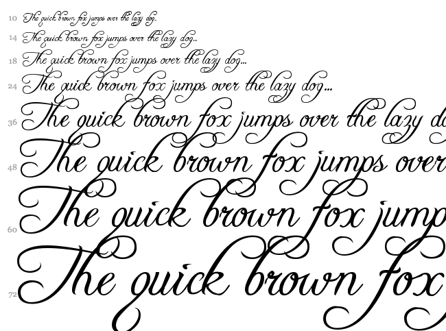 Freebooter Script font waterfall