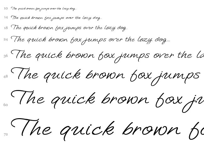 Loosie Script font waterfall