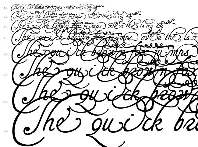 Tagettes font waterfall