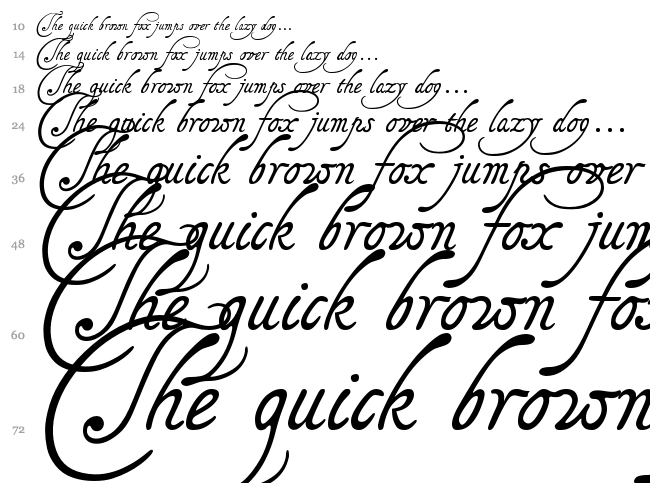 Tagettes font waterfall