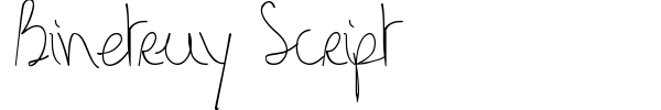 Binetruy Script font