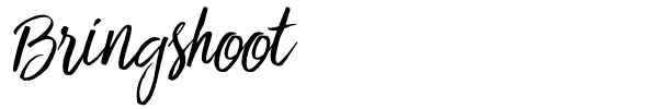 Bringshoot font