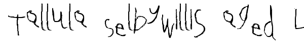 Tallula SelbyWillis aged 4 font