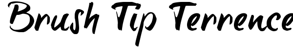 Brush Tip Terrence font