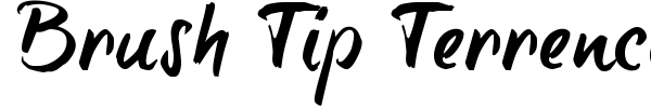 Brush Tip Terrence font preview
