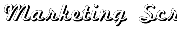 Marketing Script font preview