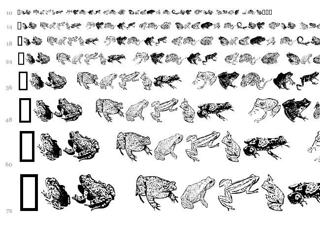 AmphibiPrint font waterfall