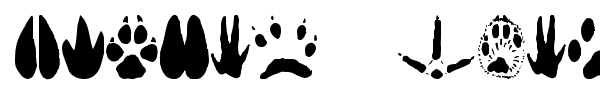 Animal Tracks font preview
