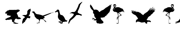 Birds of a Feather font