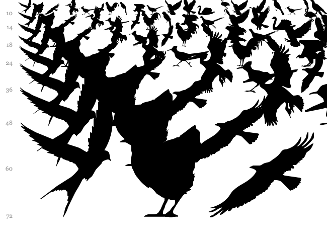 Birds of a Feather font waterfall