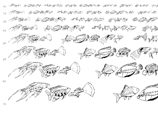 Fishing font waterfall