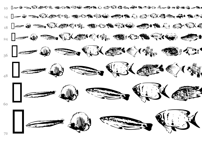FishyPrint AOE font waterfall