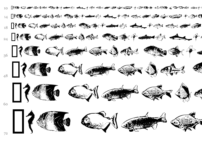 FishyPrint AOE font waterfall
