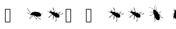 The Beetles font
