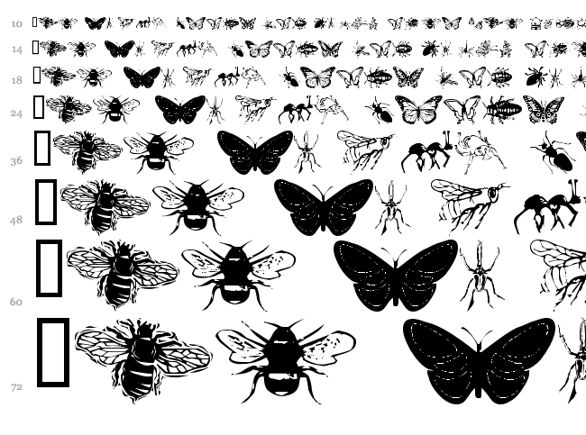 WM Insects font waterfall
