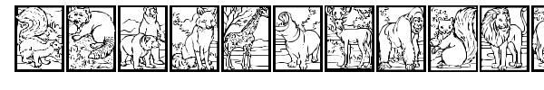 WW Animal Prints font