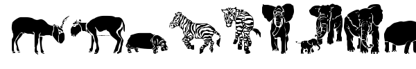 WW Safari font