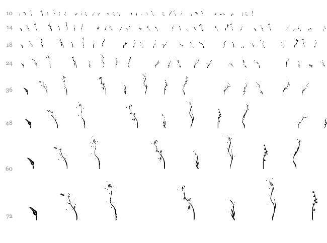 Aierbazzi font waterfall