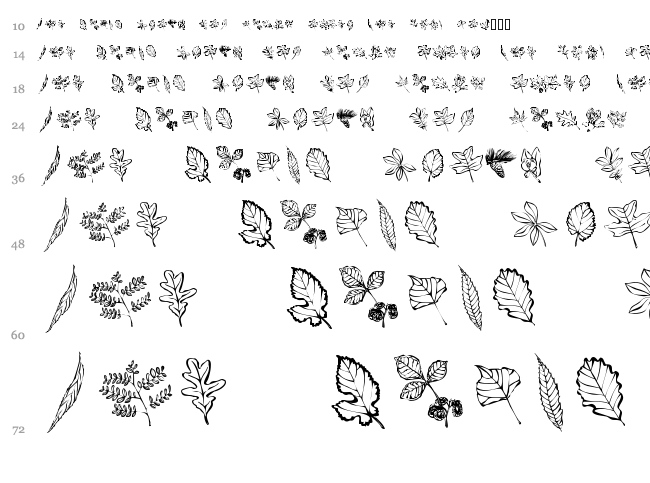Arboris Folium font waterfall