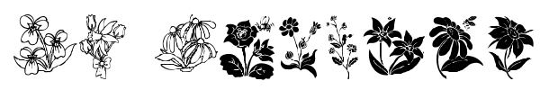 DT Flowers font
