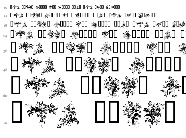 Florals 1 font waterfall