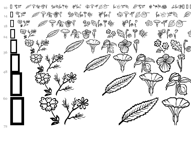 Flower Show font waterfall
