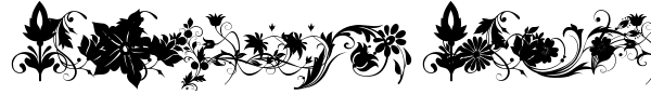 Fotograami Flower font