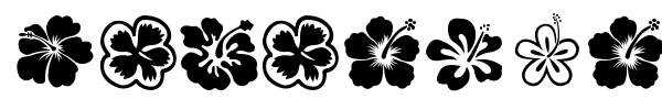 Hibiscus font