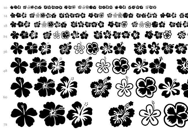 Hibiscus font waterfall