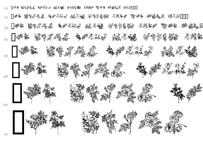 Rose font waterfall