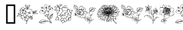 Traditional Floral Design font