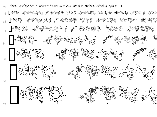 Traditional Floral Design font waterfall