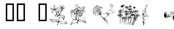 WM Flowers font