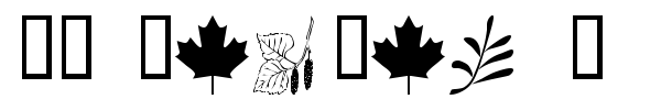 WM Leaves 1 font