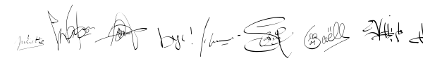 PWSignatures font