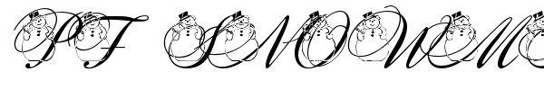 PF Snowman Citadel font